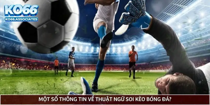 mot-so-thong-tin-ve-thuat-ngu-soi-keo-bong-da
