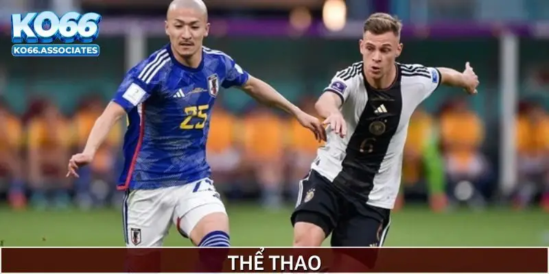 Cá cược thể thao Ko66 là thế mạnh tiên quyết tại KO66 Cá cược thể thao Ko66 là thế mạnh tiên quyết tại KO66